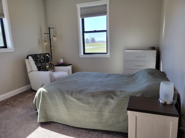 bedroom with carpet flooring