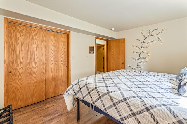 155 Grandview Ln, Seeley Lake, MT 59868 - bedroom featuring wood finished floors and a closet