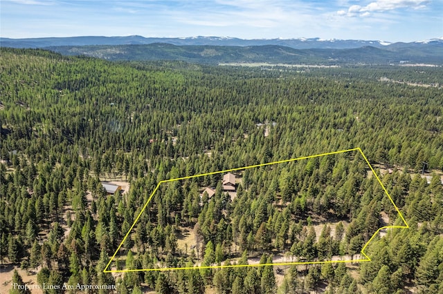 155 Grandview Ln, Seeley Lake, MT 59868 - view of property location with a forest, a mountain backdrop, and property boundaries highlighted
