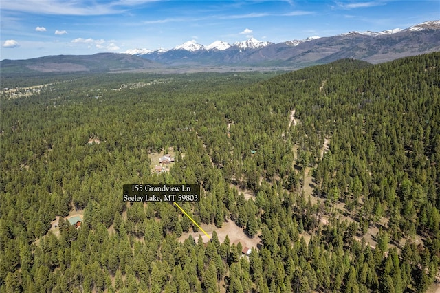 155 Grandview Ln, Seeley Lake, MT 59868 - aerial view of property's location with a forest and a mountain backdrop