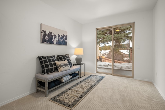 living area featuring carpet