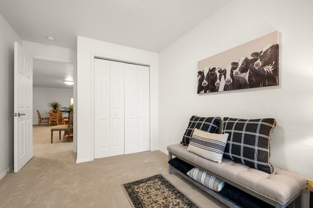 sitting room with light colored carpet