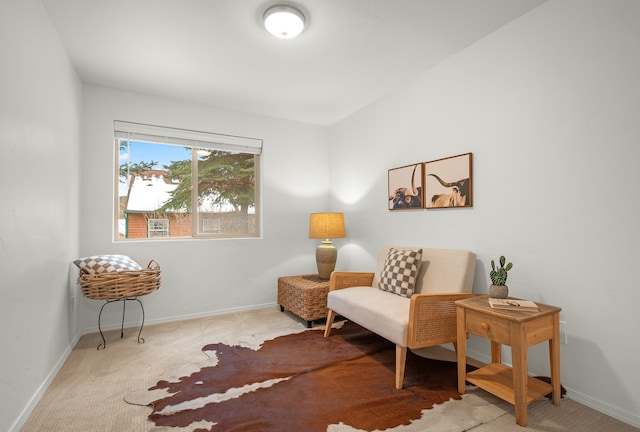 living area with light colored carpet