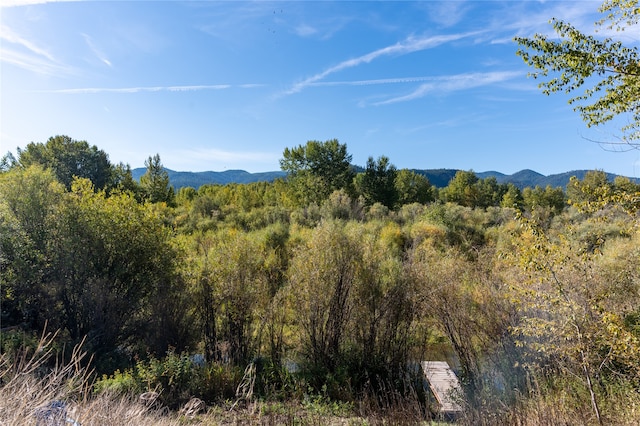 mountain view featuring a view of trees