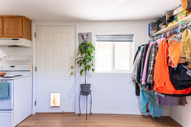 walk in closet featuring light wood-style flooring