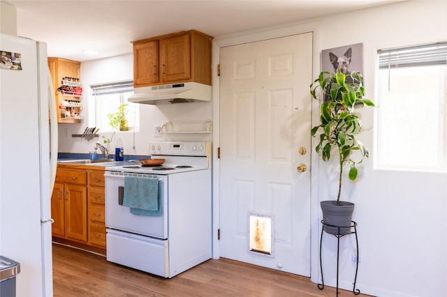 kitchen with white appliances, brown cabinets, light wood-style flooring, and under cabinet range hood