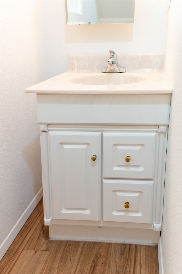 details featuring wood finished floors, a sink, and baseboards