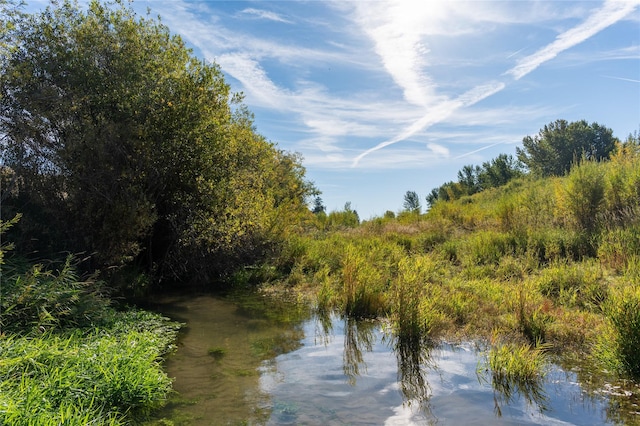 property view of water with a view of trees