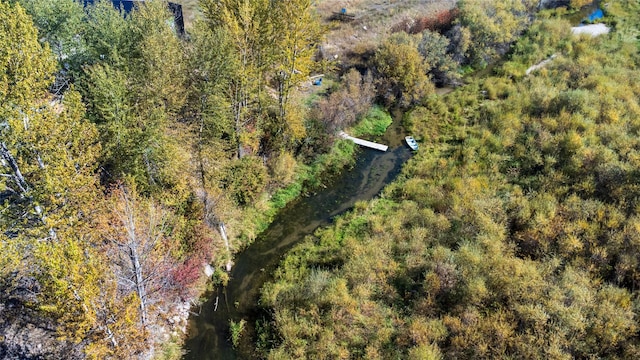 bird's eye view featuring a forest view