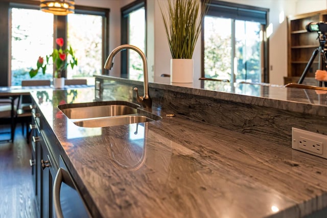 kitchen with sink and dark hardwood / wood-style flooring