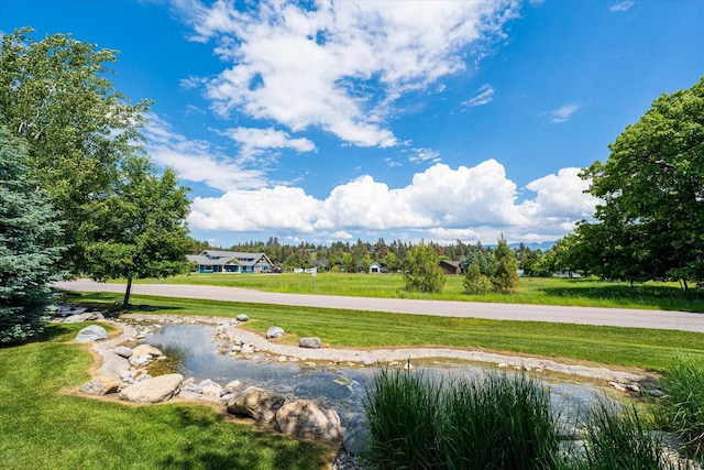 view of property's community with a yard