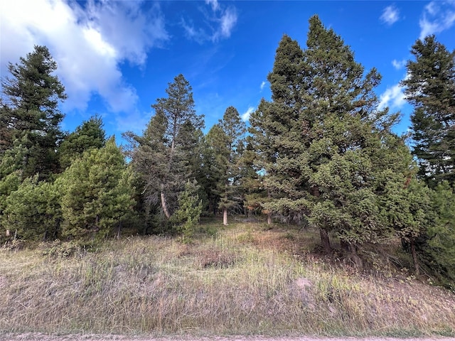 LOT10 Black Pne, Meadows Subdivision, Philipsburg, MT 59858