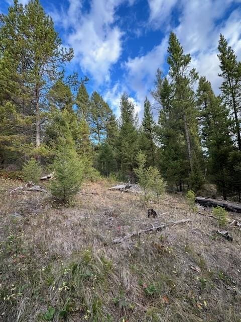 LOT10 Black Pne, Meadows Subdivision, Philipsburg, MT 59858