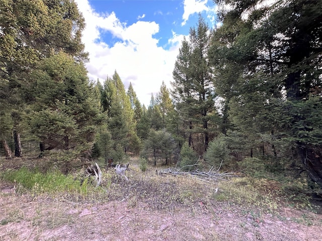 LOT10 Black Pne, Meadows Subdivision, Philipsburg, MT 59858