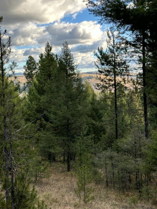 LOT10 Black Pne, Meadows Subdivision, Philipsburg, MT 59858