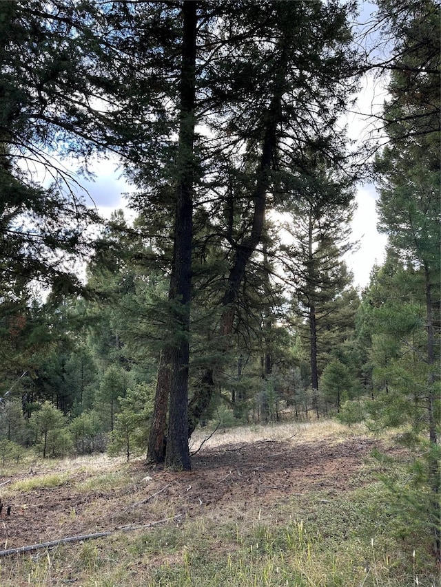 LOT10 Black Pne, Meadows Subdivision, Philipsburg, MT 59858