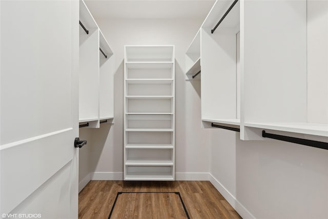 spacious closet featuring wood-type flooring