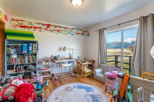 recreation room with a mountain view and hardwood / wood-style floors