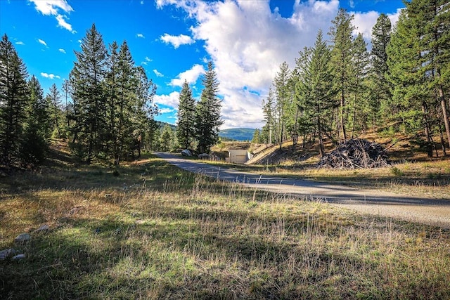 169 Brookes Dr, Rexford, MT 59930 - view of yard