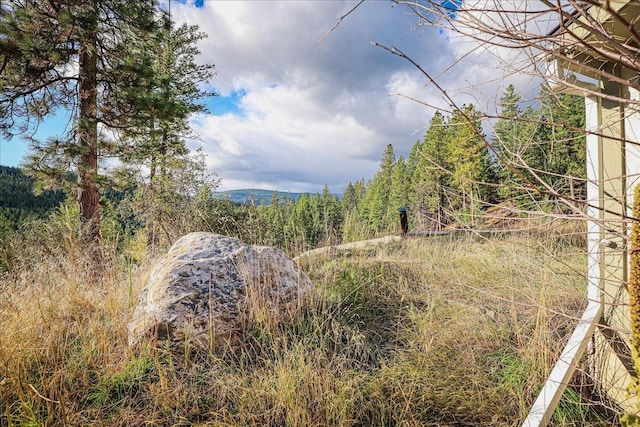 view of local wilderness