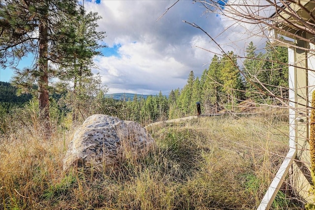 169 Brookes Dr, Rexford, MT 59930 - view of undeveloped land