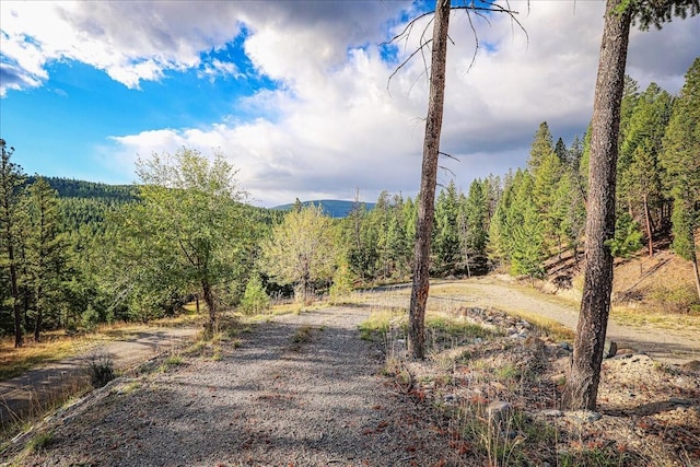 169 Brookes Dr, Rexford, MT 59930 - view of road featuring a wooded view