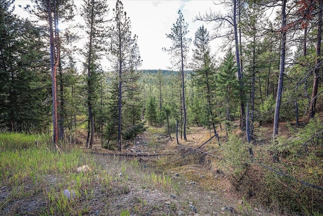 169 Brookes Dr, Rexford, MT 59930 - view of wooded area