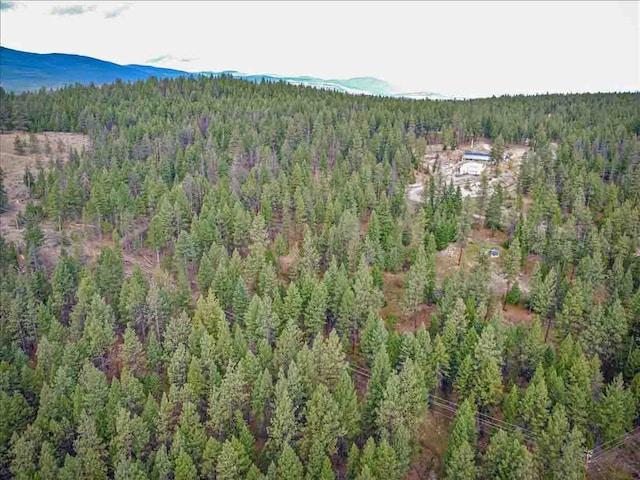 aerial view with a mountain view