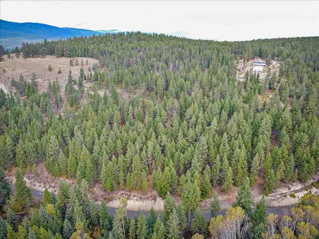 aerial view featuring a mountain view