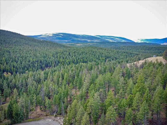 169 Brookes Dr, Rexford, MT 59930 - view of mountain backdrop featuring a heavily wooded area