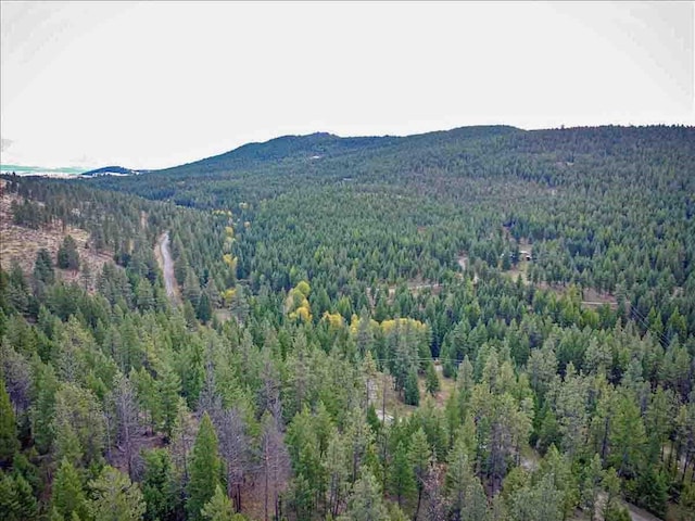169 Brookes Dr, Rexford, MT 59930 - mountain view with a forest