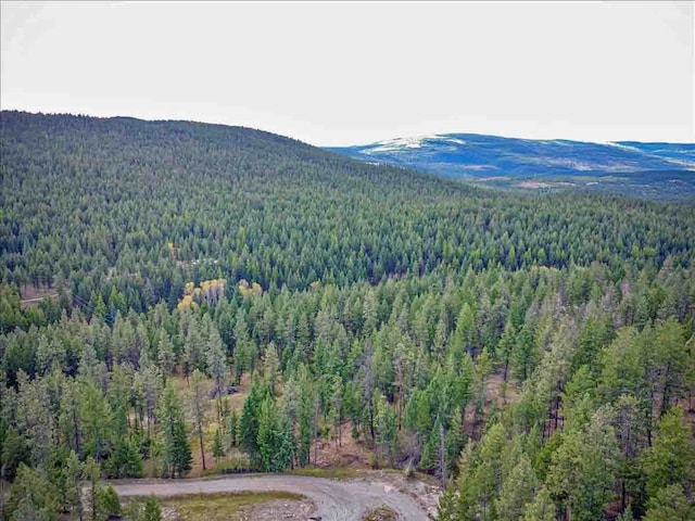 bird's eye view featuring a mountain view