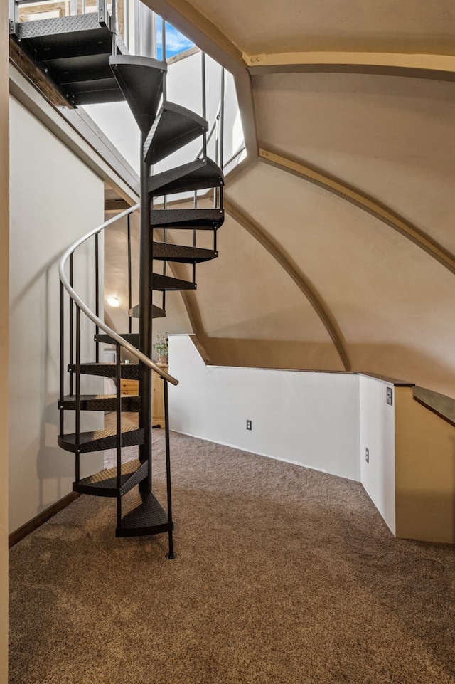 stairs featuring carpet