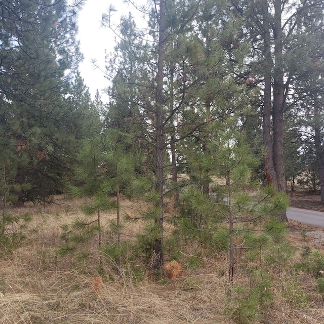 LOT5 Early Dawn Dr, Big Arm, MT 59910