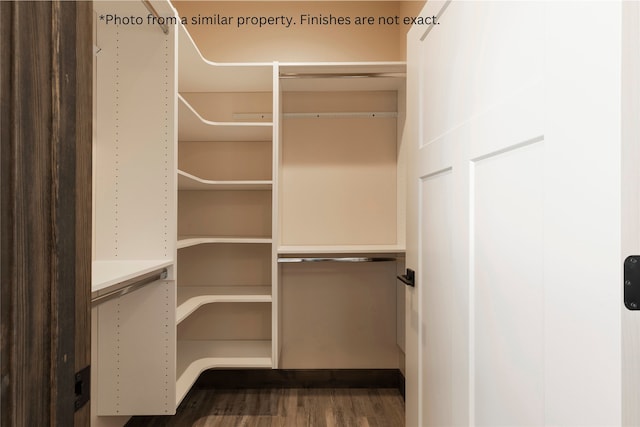 spacious closet with dark hardwood / wood-style floors