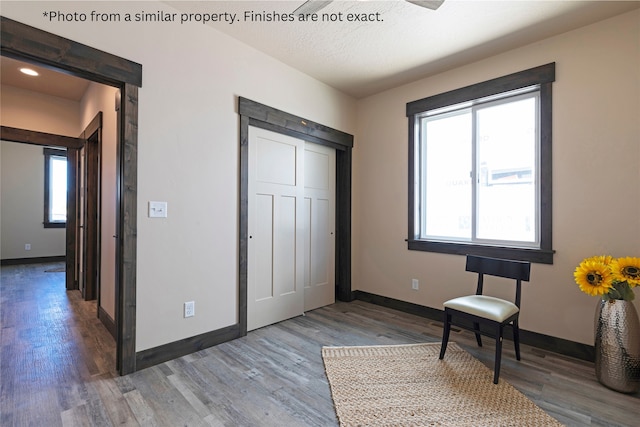 foyer featuring wood-type flooring, a textured ceiling, and plenty of natural light