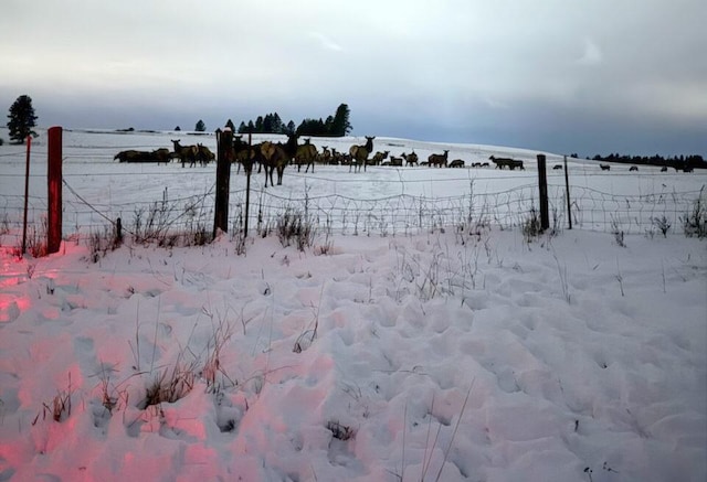 760 Trap Rd, Columbia Falls, MT 59912 - view of yard covered in snow