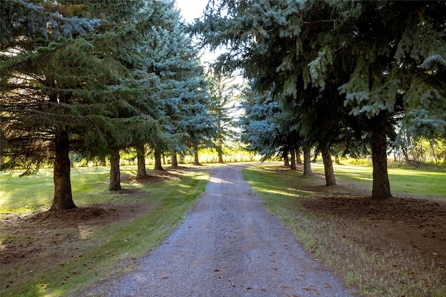 760 Trap Rd, Columbia Falls, MT 59912 - view of street