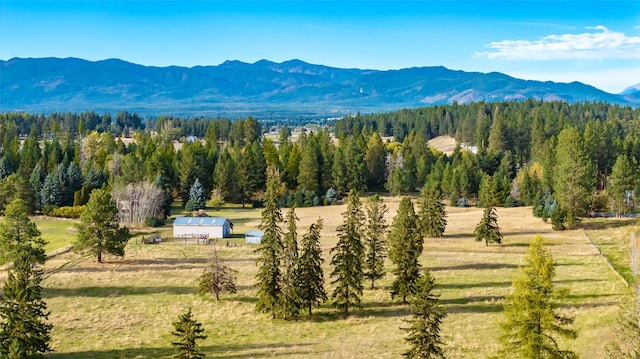 760 Trap Rd, Columbia Falls, MT 59912 - view of mountain backdrop with a heavily wooded area and rural landscape