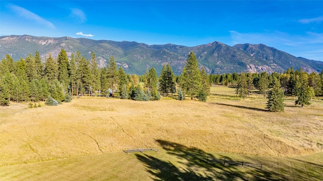 760 Trap Rd, Columbia Falls, MT 59912 - mountain view
