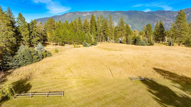 760 Trap Rd, Columbia Falls, MT 59912 - mountain view