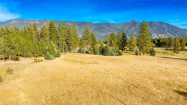 760 Trap Rd, Columbia Falls, MT 59912 - mountain view