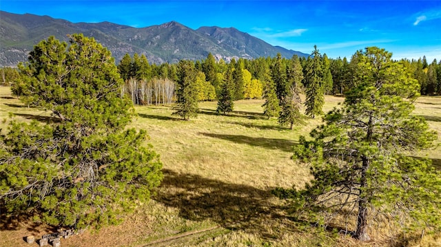 760 Trap Rd, Columbia Falls, MT 59912 - view of mountain backdrop