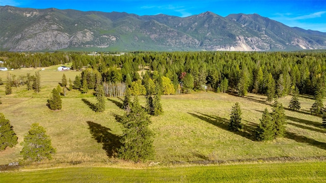 760 Trap Rd, Columbia Falls, MT 59912 - mountain view