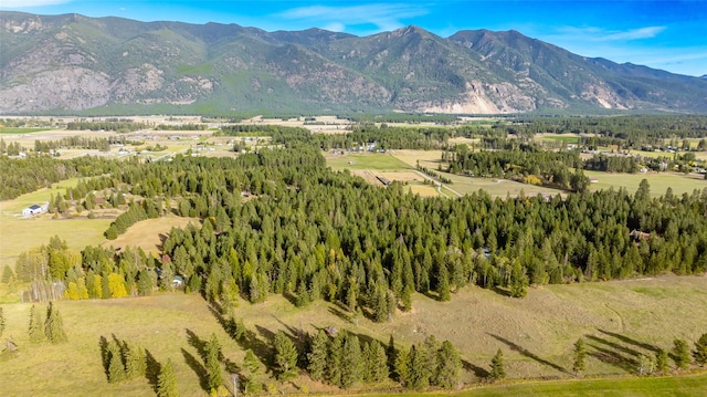 760 Trap Rd, Columbia Falls, MT 59912 - view of mountain backdrop