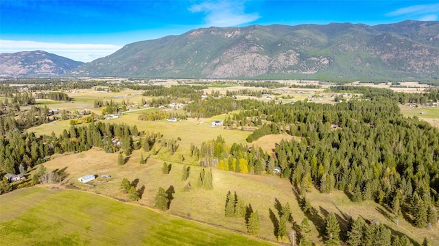 760 Trap Rd, Columbia Falls, MT 59912 - mountain view