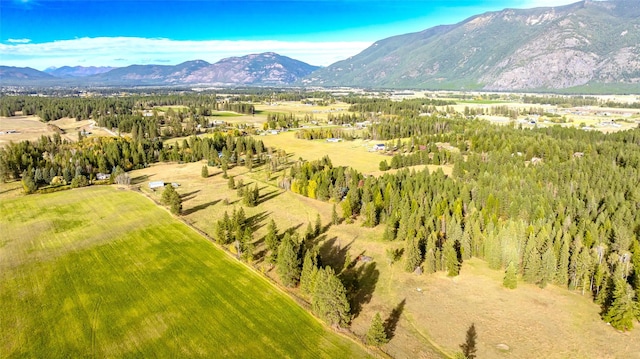 760 Trap Rd, Columbia Falls, MT 59912 - mountain view