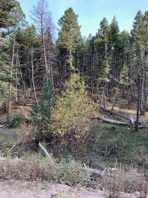 tbd Holmes Gulch, Montana City MT, 59634 land for sale