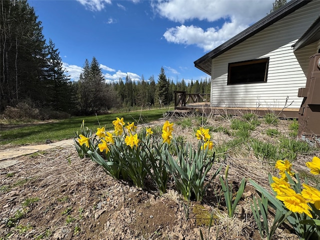 view of yard with a wooden deck