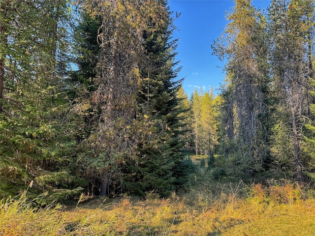 view of local wilderness featuring a forest view